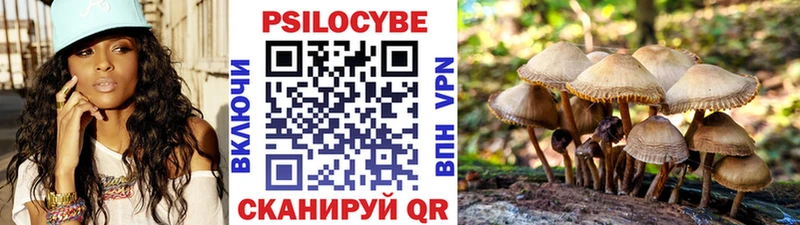 хочу   Красавино  Галлюциногенные грибы Psilocybe 