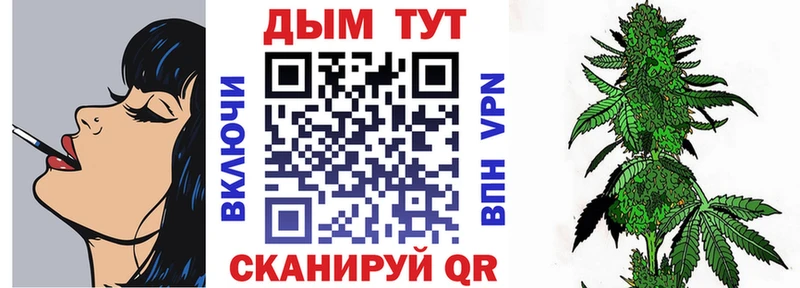 как найти закладки  Красавино  Каннабис индика 